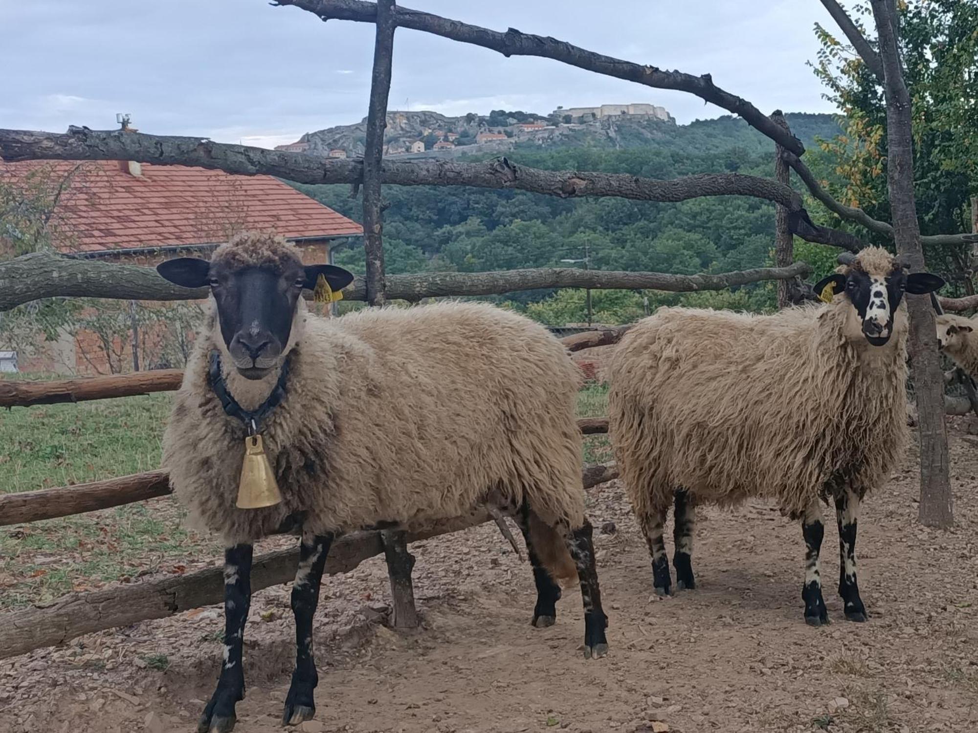 Chez Marthe, Organic Farm Stay Knin Exterior photo